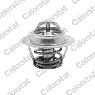 termostat,lichid racire TH4898.92J CALORSTAT by Vernet