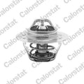 termostat,lichid racire TH5108.89J CALORSTAT by Vernet