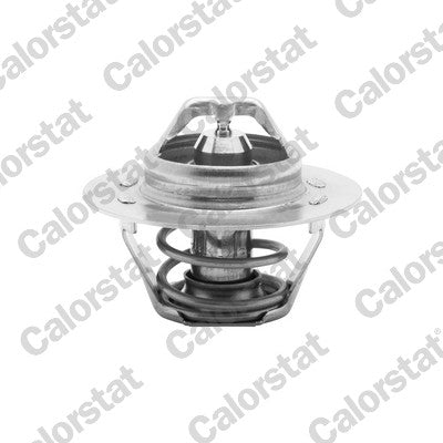 termostat,lichid racire TH5108.89J CALORSTAT by Vernet
