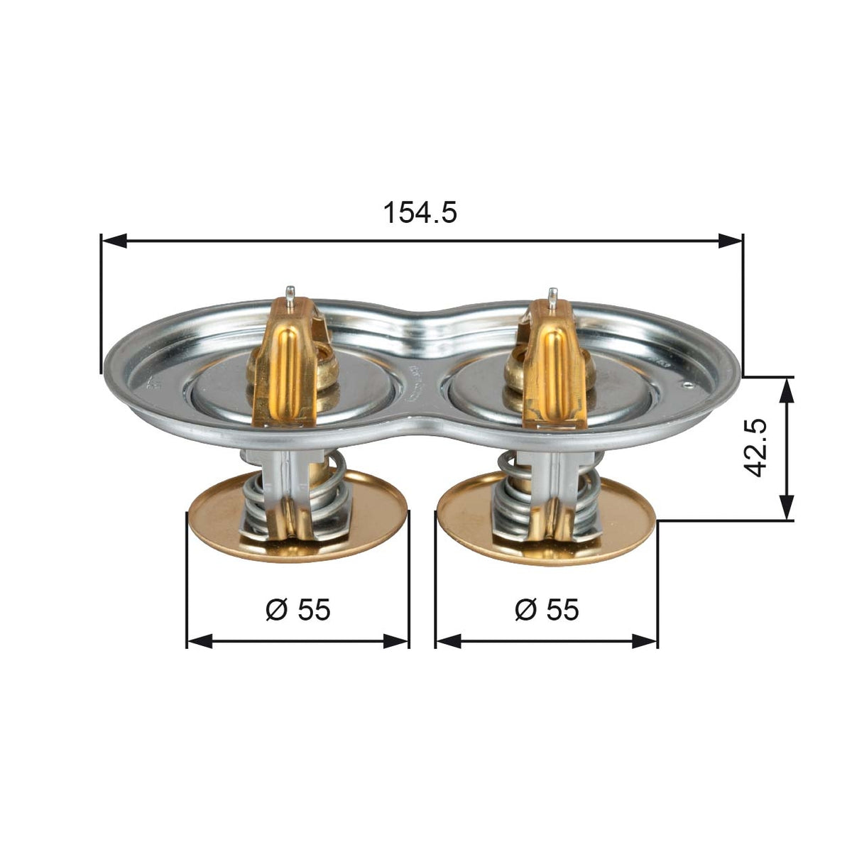 termostat,lichid racire TH51975/80G1 GATES