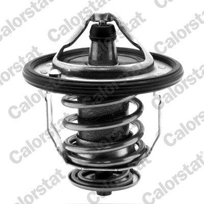 termostat,lichid racire TH5434.82J CALORSTAT by Vernet