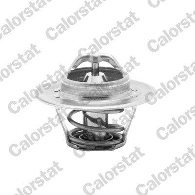 termostat,lichid racire TH5962.82J CALORSTAT by Vernet