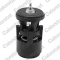termostat,lichid racire TH6274.87J CALORSTAT by Vernet