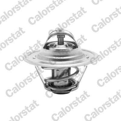 termostat,lichid racire TH6276.87J CALORSTAT by Vernet