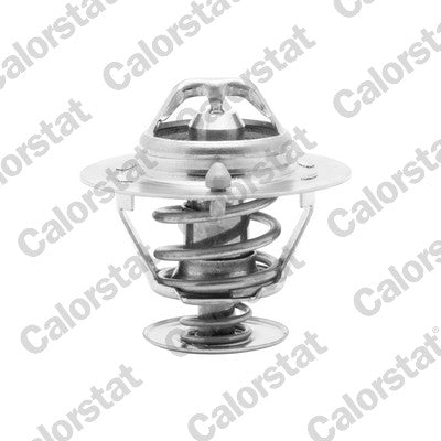 termostat,lichid racire TH6294.82J CALORSTAT by Vernet