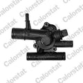 termostat,lichid racire TH6454.83J CALORSTAT by Vernet