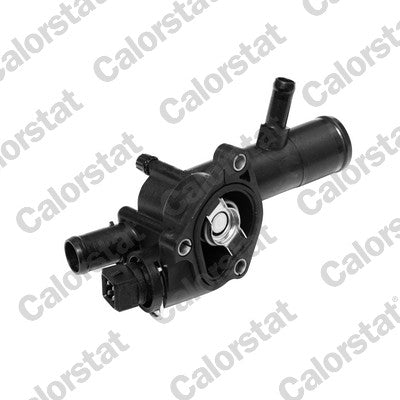 termostat,lichid racire TH6666.89J CALORSTAT by Vernet