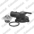 termostat,lichid racire TH6732.88J CALORSTAT by Vernet