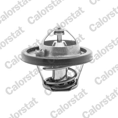 Termostat CALORSTAT by Vernet TH6837.82J