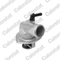 termostat,lichid racire TH6856.92J CALORSTAT by Vernet