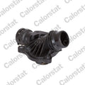 termostat,lichid racire TH6872.88J CALORSTAT by Vernet