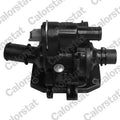 termostat,lichid racire TH6874.83J CALORSTAT by Vernet
