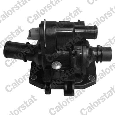 termostat,lichid racire TH6874.83J CALORSTAT by Vernet