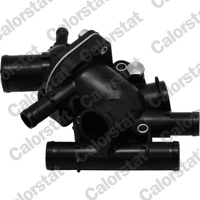 termostat,lichid racire TH6320.89J CALORSTAT by Vernet