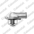 termostat,lichid racire TH6966.87J CALORSTAT by Vernet