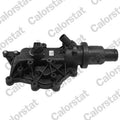 termostat,lichid racire TH6971.89J CALORSTAT by Vernet