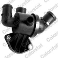 termostat,lichid racire TH7180.87J CALORSTAT by Vernet