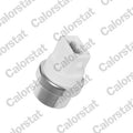 Comutator temperatura, ventilator radiator TS2900 CALORSTAT by Vernet