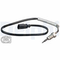 Senzor, temperatura gaze evacuare TS30176 DELPHI