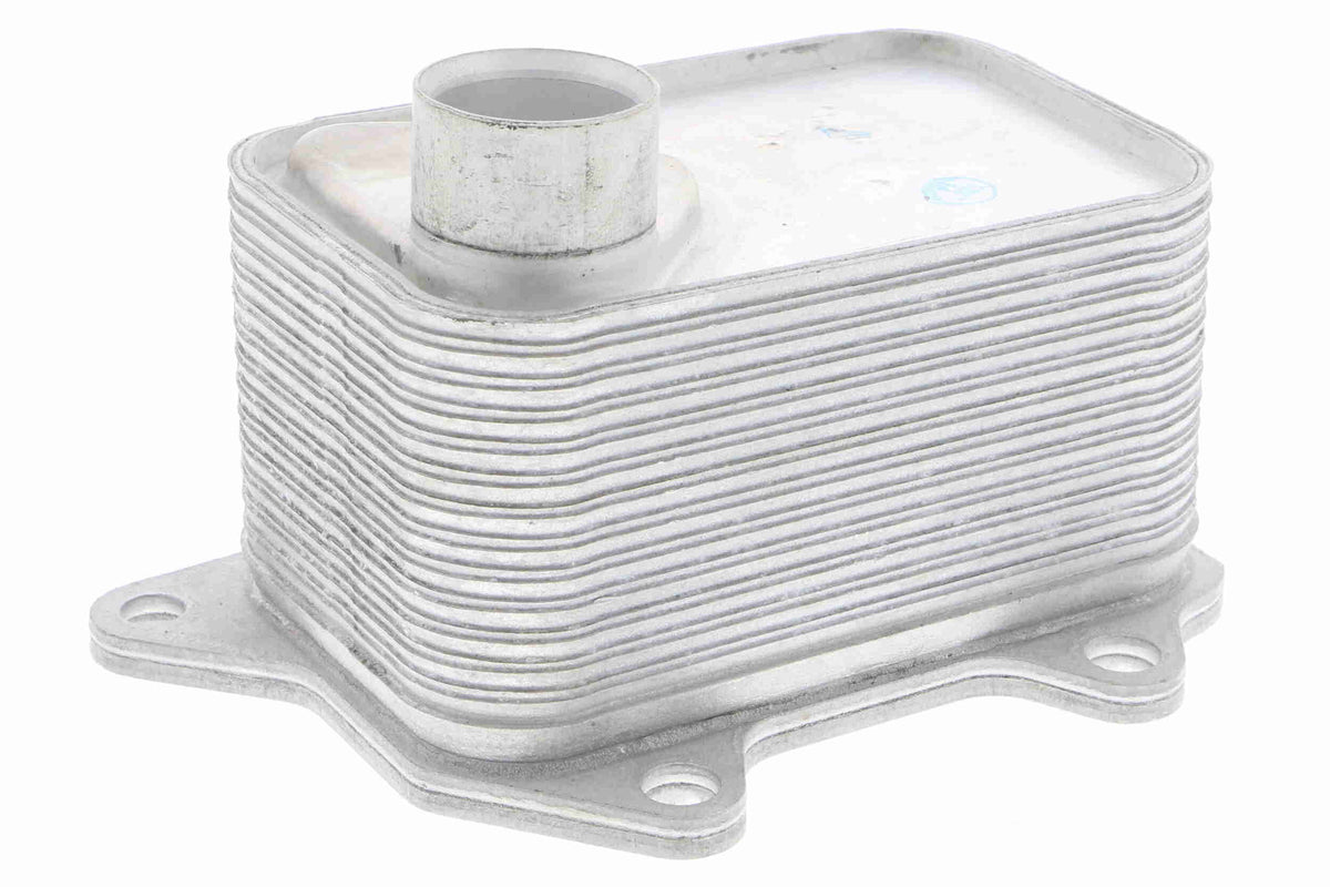 Radiator ulei, ulei motor V15-60-6068 VEMO