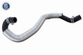 Furtun radiator V25-1238 VAICO