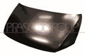 Capota motor VG9073100 PRASCO