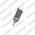 senzor,temperatura lichid de racire WS2606 CALORSTAT by Vernet