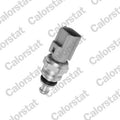 senzor,temperatura lichid de racire WS3038 CALORSTAT by Vernet