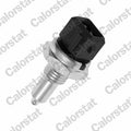 senzor,temperatura lichid de racire WS3044 CALORSTAT by Vernet