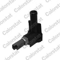 senzor,temperatura lichid de racire WS3048 CALORSTAT by Vernet