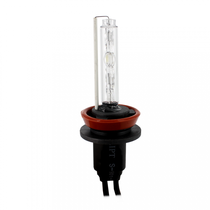 Bec Xenon H11-6K - CARGUARD - 11419319