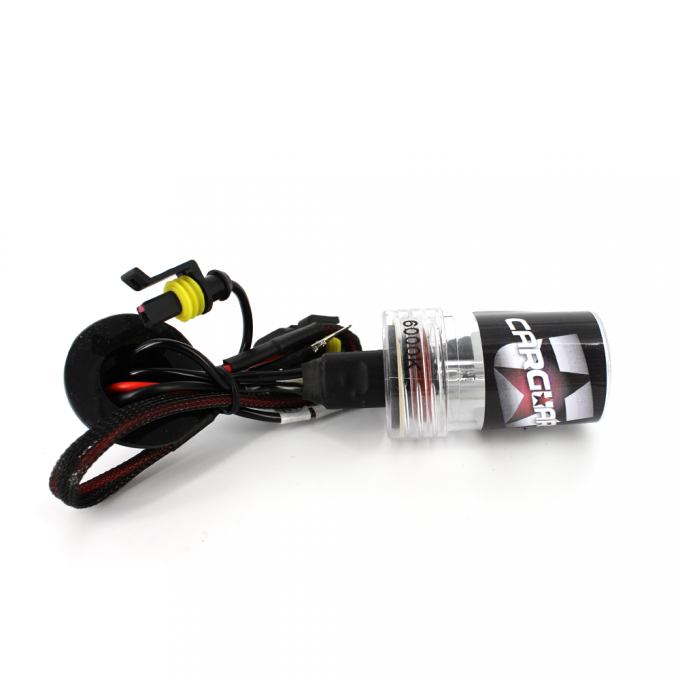 Bec Xenon H11-6K - CARGUARD - BXH116000K