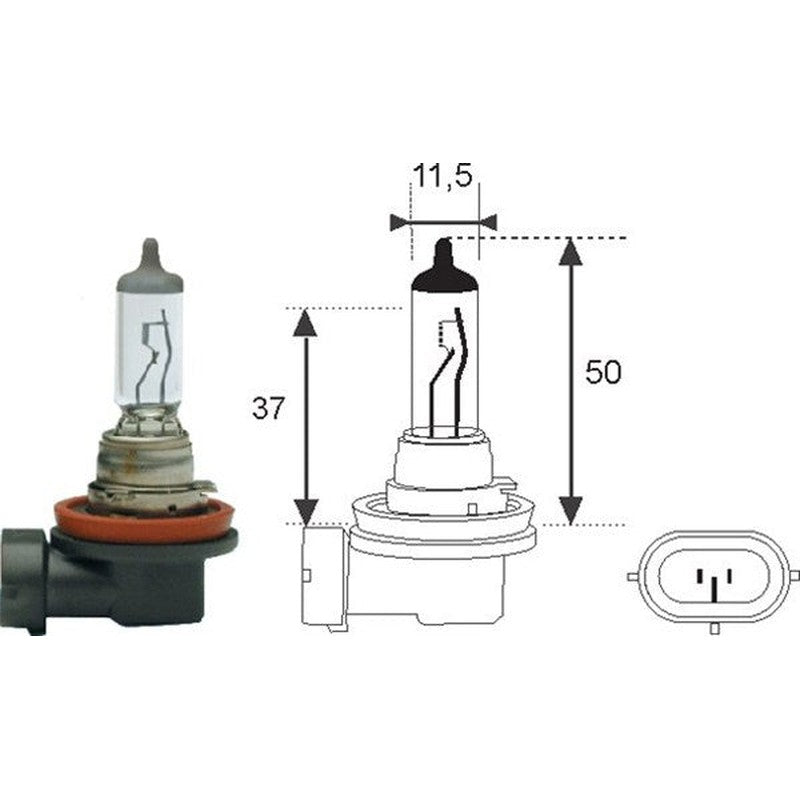 Bec Magneti Marelli H11 12V 55W PGJ-19-2 - 002549100000
