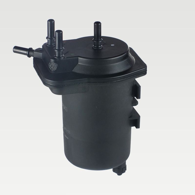 Filtru combustibil HDF943 DELPHI