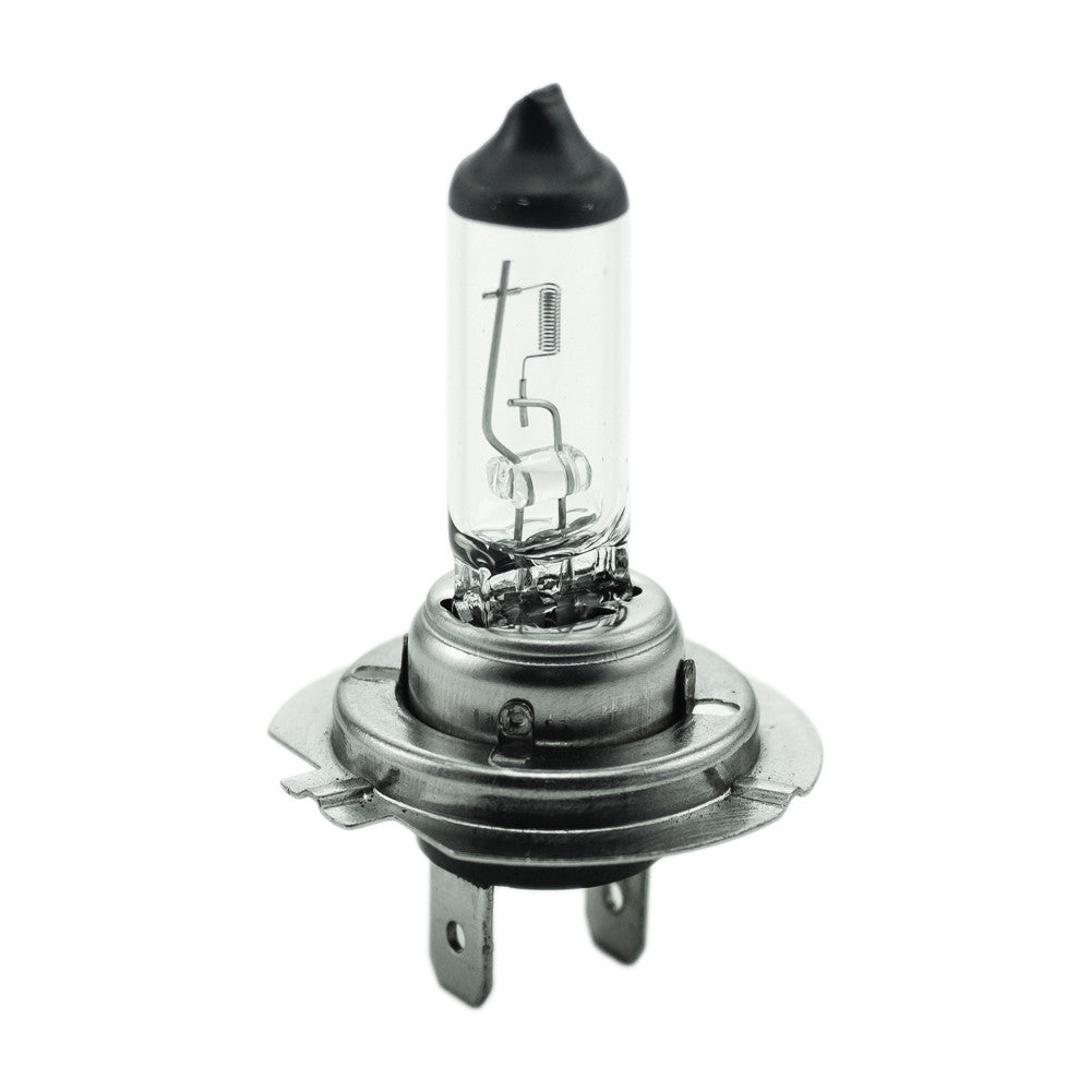 Bec halogen H7 12V 55W - 11560791