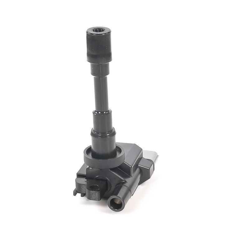 Bobina de inductie GN10318-12B1 DELPHI