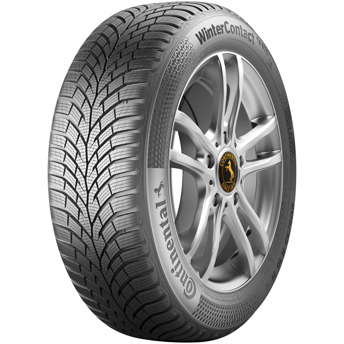 Anvelopă Iarna CONTINENTAL 195/65 R15 91T TS-870