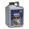 Ulei motor turisme Volvo OE RBS20 0W20 4L - 31392924